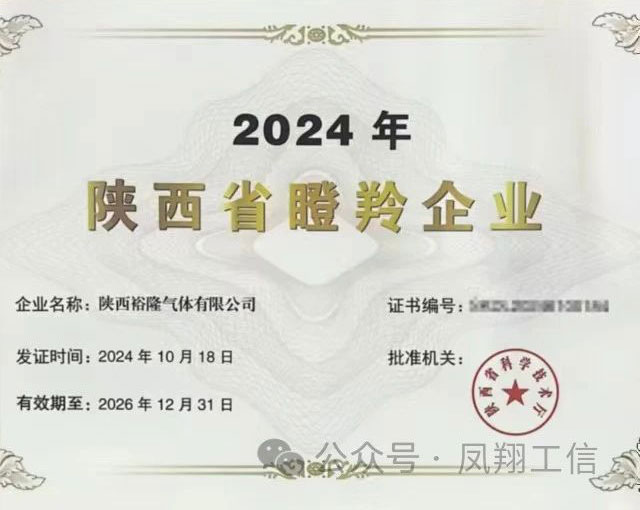 恭喜陜西裕隆氣體有限公司榮獲寶雞鳳翔區瞪羚企業(yè)稱(chēng)號